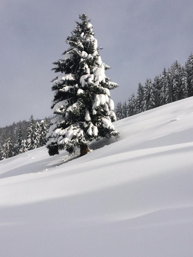 Appartements Feroli Dienten am Hochkönig Exteriér fotografie